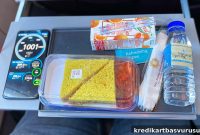 Vistara Premium Economy Domestic Review: Seats, Service & Fare Insights