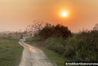 Traveling to Northeast India During COVID-19: What to Expect