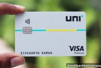 UniPay One-Third Card Review: Fees, Rewards & Who Should Apply