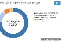SBI Card Spend Analyzer: Track Your Spending Like a Pro
