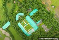 Borgos at Kaziranga: Visitor Review & Wildlife Lodge Guide