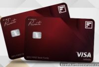 IDFC FIRST Private Credit Card Review: First Impressions and Features