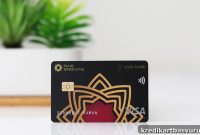 Axis Bank Vistara Infinite Credit Card: Full Review & Benefits
