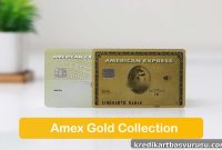 American Express Gold Card Rewards: 18K & 24K Membership Points Explained