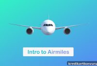 A Beginner’s Guide to Airline Miles: How They Work and Grow