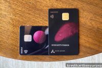 Axis Bank Credit Card Devaluation: Magnus Survives, Reserve Falls
