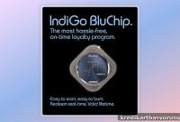 IndiGo Introduces Business Class and BluChip Loyalty Program