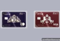 IDFC First Bank Launches Ashva and Mayura Credit Cards — Worth It?