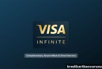 Fly Like a VIP: Free Airport Meet & Greet with Visa Infinite Cards