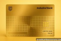 CRED and IndusInd Bank Launch Invite-Only Sovereign Card for HNIs