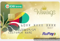 RuPay Credit Cards Launch: 3 Key Facts You Should Know