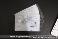 How an American Express Supplementary Card Affects Your CIBIL Score