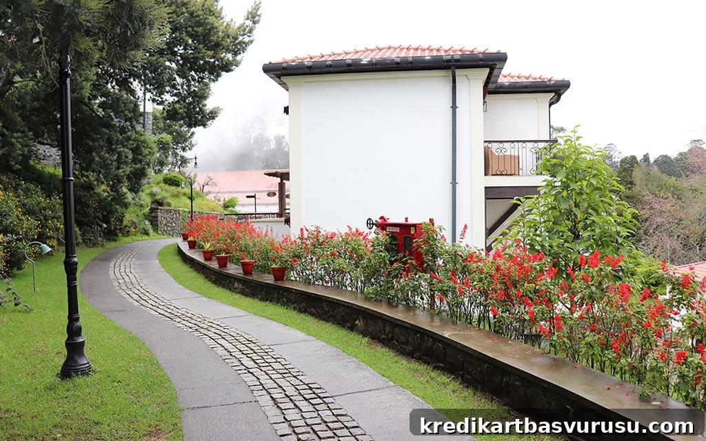 Tamara Kodai property