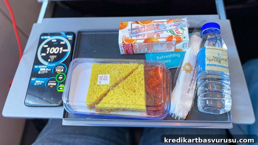 Vistara Premium Economy Food