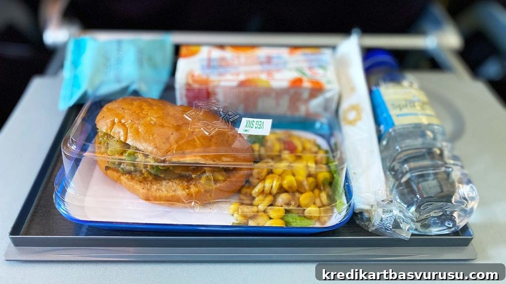 Vistara Premium Economy Food - Veg