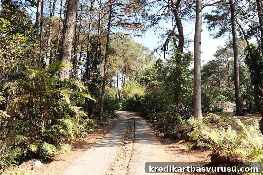 Trek path
