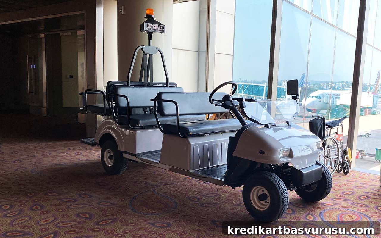 airport meet and greet services in India