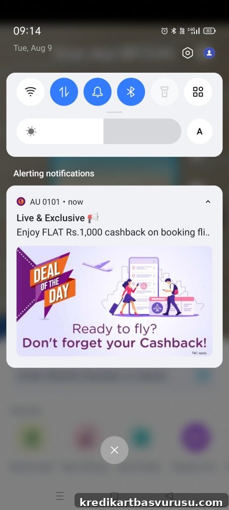 AU Bank Deal Of The Day offer - flights