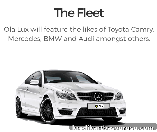 Ola Lux Fleet