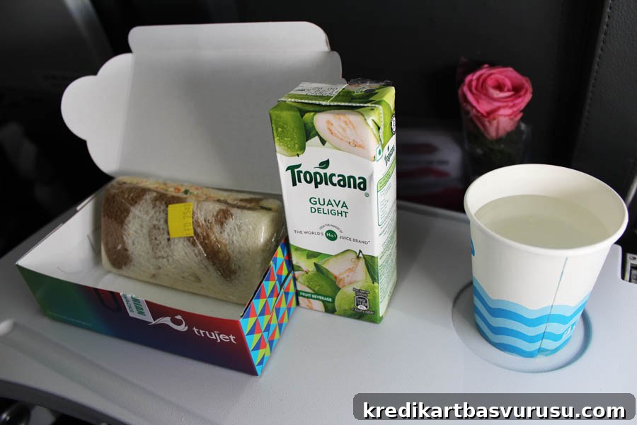 Trujet Food: Sandwich & Juice