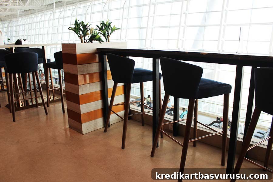 TFS Travel Club Lounge Chennai – Area 3 Overlooking gate