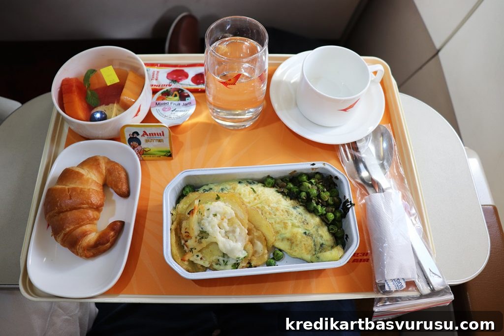 Air India Business Class Food
