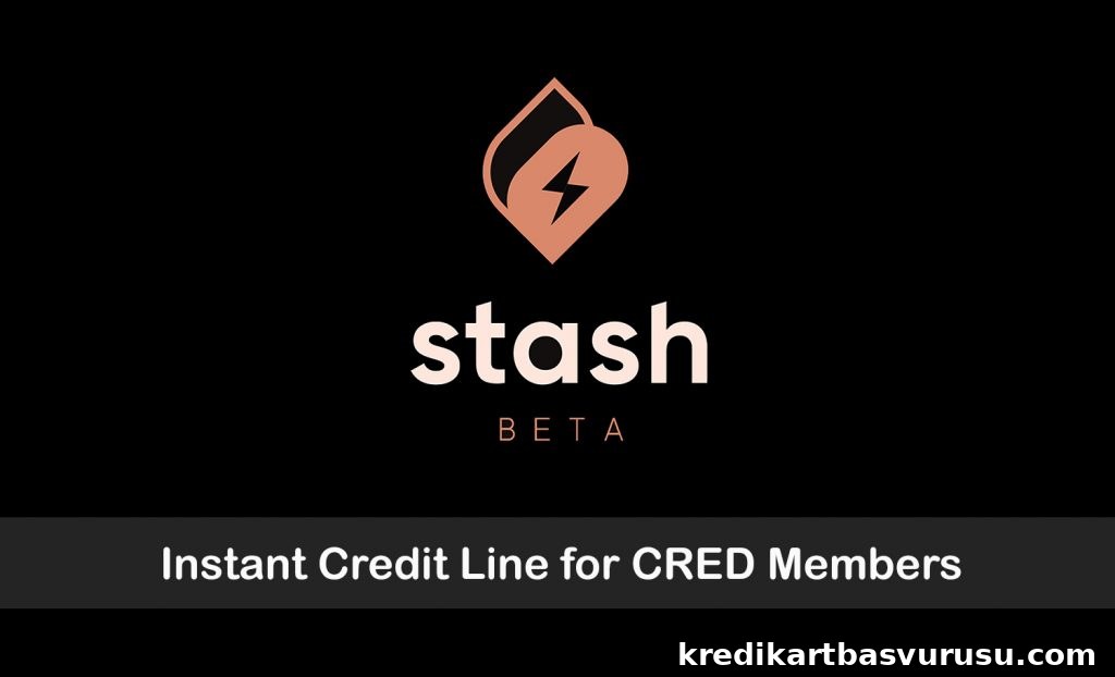 CRED Stash Review: Get Credit in 90 Seconds with 1-Click KYC 2 CRED Stash Review
