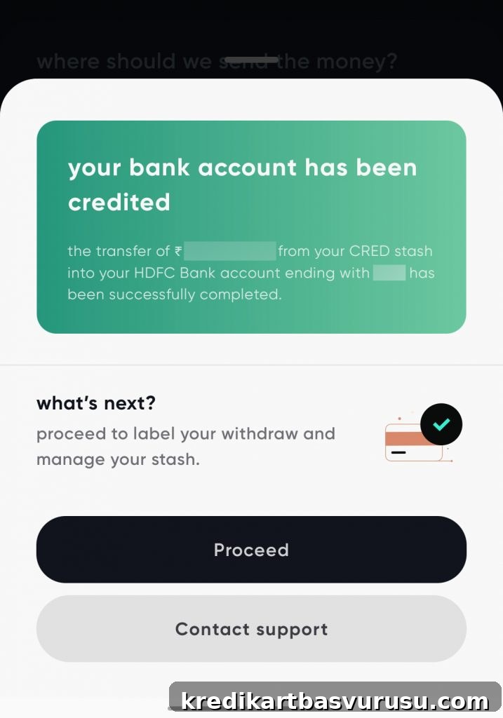 CRED Stash Review: Get Credit in 90 Seconds with 1-Click KYC 11 img 9415 11