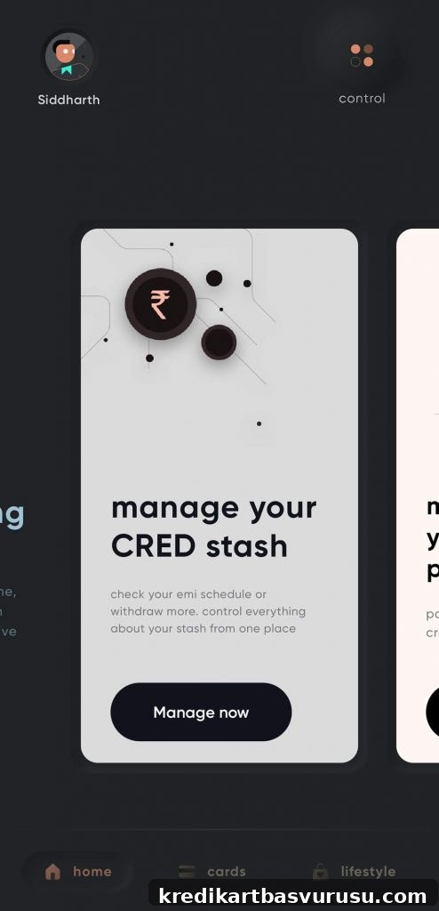 CRED Stash Review: Get Credit in 90 Seconds with 1-Click KYC 3 img 9415 2
